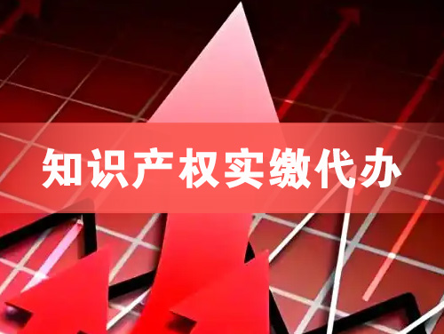 开江知识产权实缴资本代办